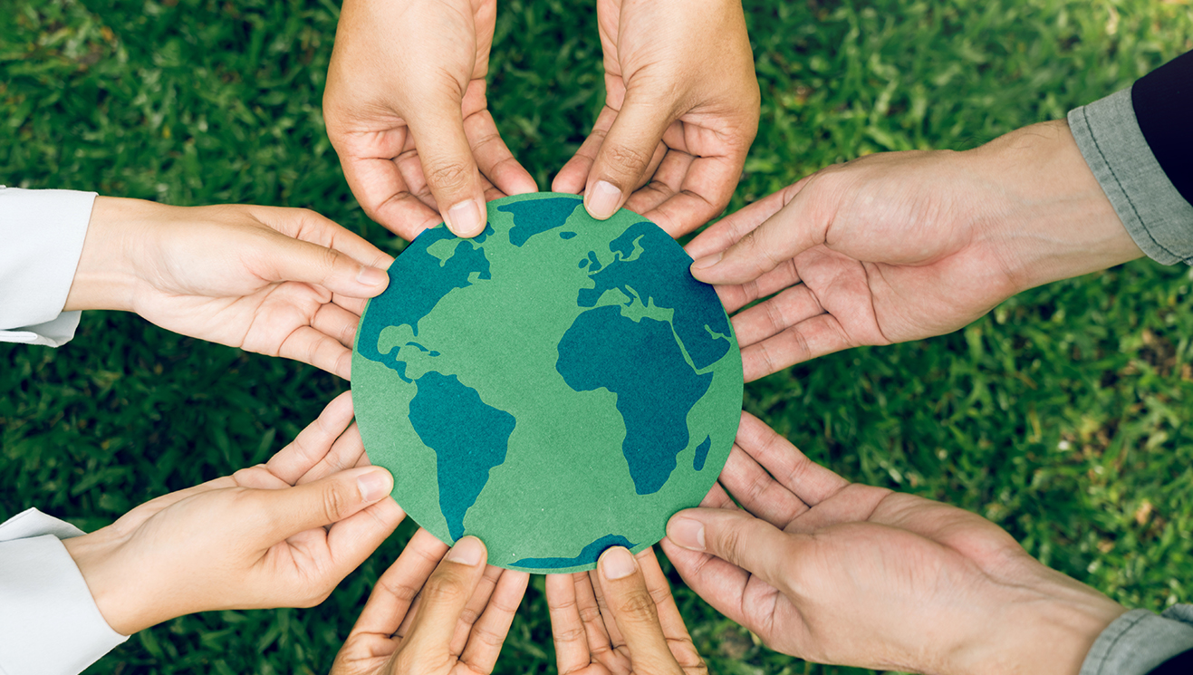 Compliance with RoHS, Reach & UL Standards